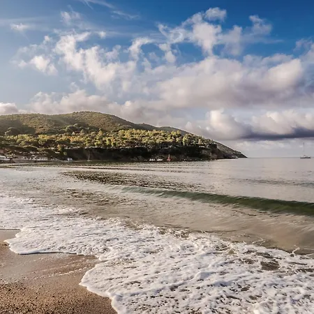 Hotiday Collection - Lacona