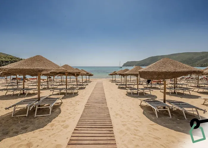 Hotiday Collection -