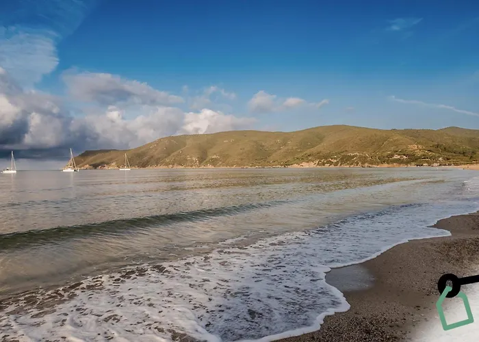 Hotiday Collection - Lacona