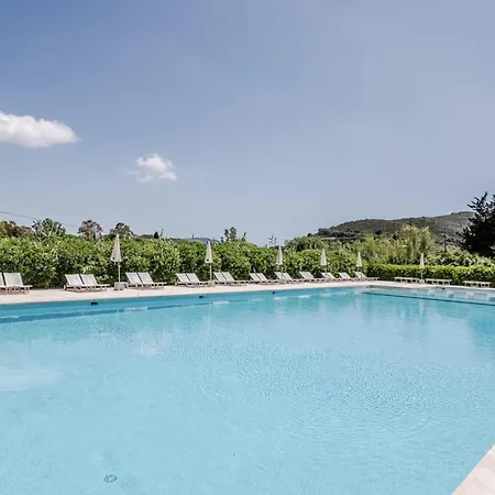 Hotel Hotiday Collection - Lacona