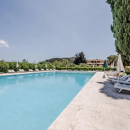 Hotiday Collection - Lacona