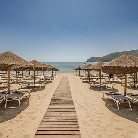 Hotiday Collection -