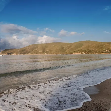 Hotiday Collection - Lacona