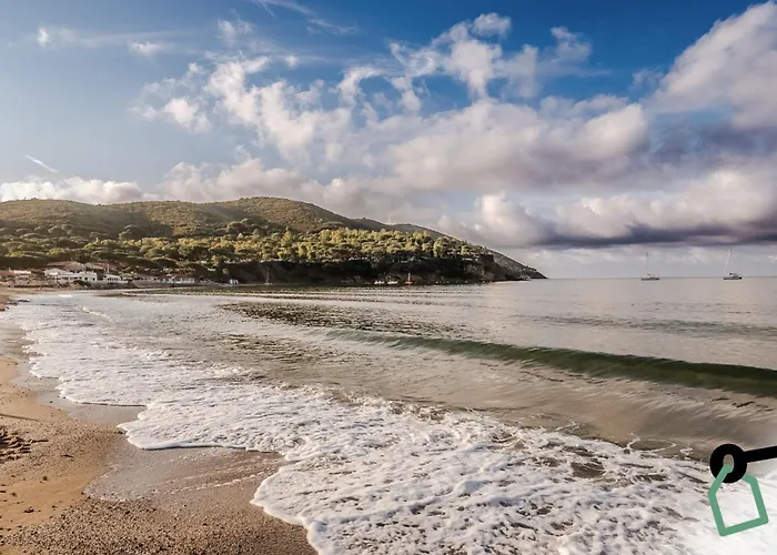 Hotiday Collection - Lacona