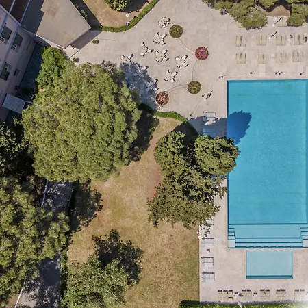 Hotiday Collection - Lacona